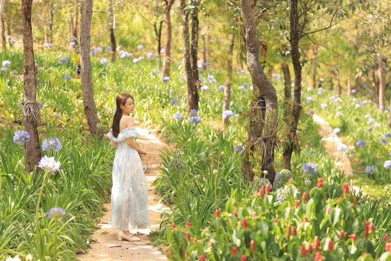 Tây Nguyên